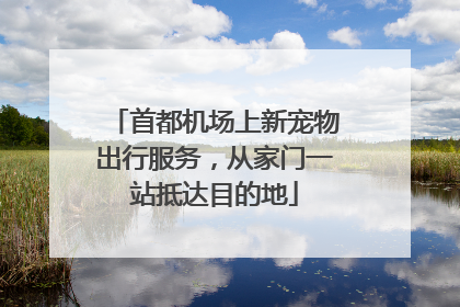 首都机场上新宠物出行服务，从家门一站抵达目的地