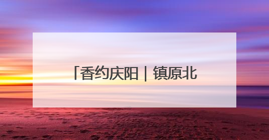 香约庆阳｜镇原北石窟驿：承丝路遗韵 启文旅创新篇章