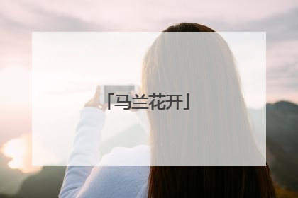 马兰花开