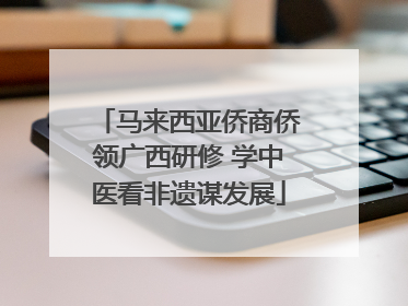 马来西亚侨商侨领广西研修 学中医看非遗谋发展