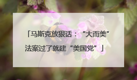 马斯克放狠话：“大而美”法案过了就建“美国党”