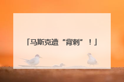 马斯克遭“背刺”！