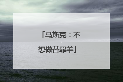 马斯克：不想做替罪羊