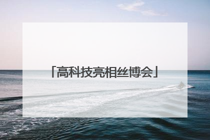 高科技亮相丝博会