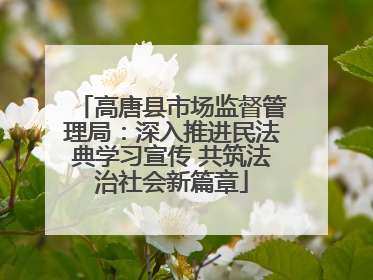 高唐县市场监督管理局：深入推进民法典学习宣传 共筑法治社会新篇章