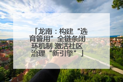 龙南：构建“选育管用”全链条闭环机制 激活社区治理“新引擎”