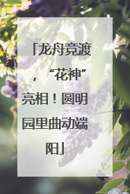 龙舟竞渡，“花神”亮相！圆明园里曲动端阳