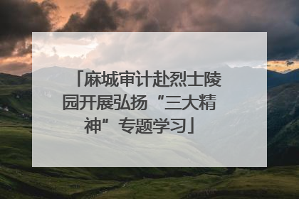 麻城审计赴烈士陵园开展弘扬“三大精神”专题学习