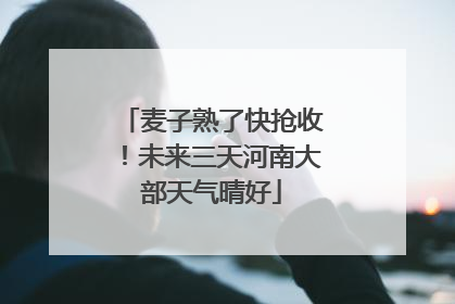 麦子熟了快抢收！未来三天河南大部天气晴好