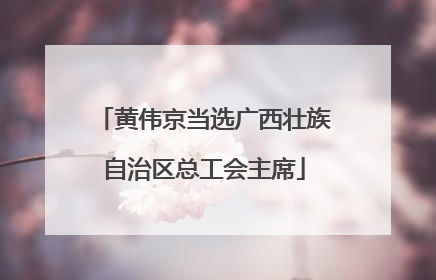 黄伟京当选广西壮族自治区总工会主席