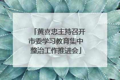 黄喜忠主持召开市委学习教育集中整治工作推进会