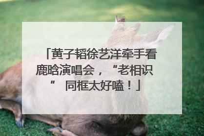 黄子韬徐艺洋牵手看鹿晗演唱会，“老相识” 同框太好嗑！
