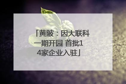 黄陂：因大联科一期开园 首批14家企业入驻
