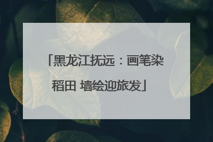 黑龙江抚远：画笔染稻田 墙绘迎旅发