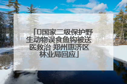 ﻿国家二级保护野生动物误食鱼钩被送医救治 郑州惠济区林业局回应