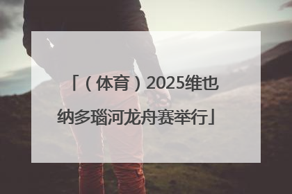 （体育）2025维也纳多瑙河龙舟赛举行