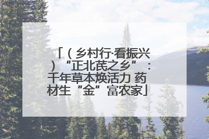 （乡村行·看振兴）“正北芪之乡”：千年草本焕活力 药材生“金”富农家