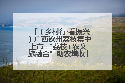 （乡村行·看振兴）广西钦州荔枝集中上市 “荔枝+农文旅融合”助农增收