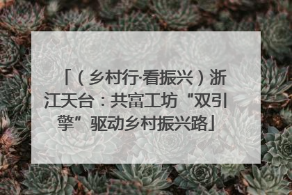 （乡村行·看振兴）浙江天台：共富工坊“双引擎”驱动乡村振兴路