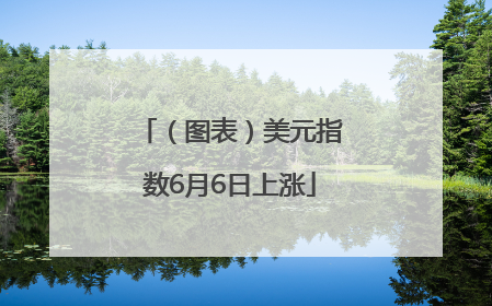 （图表）美元指数6月6日上涨