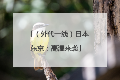 （外代一线）日本东京：高温来袭
