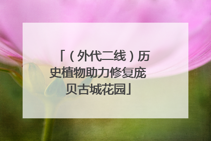 （外代二线）历史植物助力修复庞贝古城花园