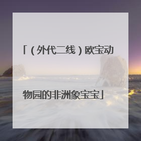 （外代二线）欧宝动物园的非洲象宝宝