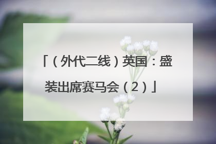 （外代二线）英国：盛装出席赛马会（2）