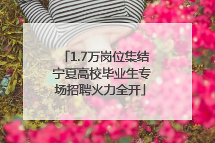 1.7万岗位集结 宁夏高校毕业生专场招聘火力全开