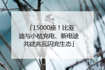 15000座！比亚迪与小桔充电、新电途共建兆瓦闪充生态
