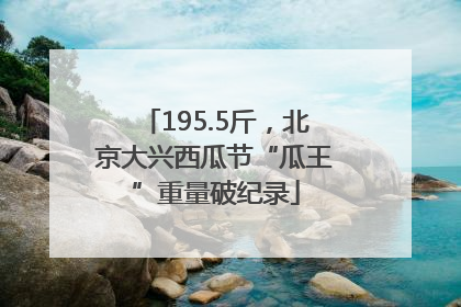 195.5斤，北京大兴西瓜节“瓜王”重量破纪录