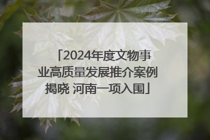 2024年度文物事业高质量发展推介案例揭晓 河南一项入围