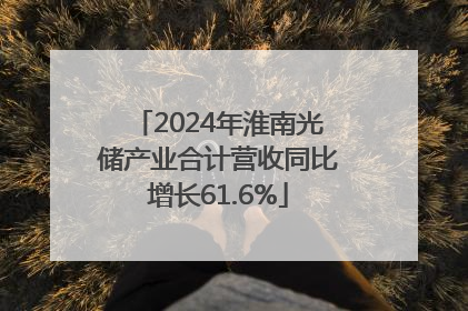 2024年淮南光储产业合计营收同比增长61.6%
