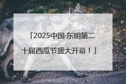 2025中国·东明第二十届西瓜节盛大开幕！