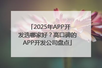 2025年APP开发选哪家好？高口碑的APP开发公司盘点