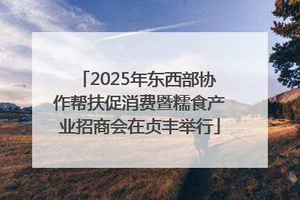 2025年东西部协作帮扶促消费暨糯食产业招商会在贞丰举行
