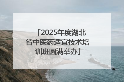 2025年度湖北省中医药适宜技术培训班圆满举办