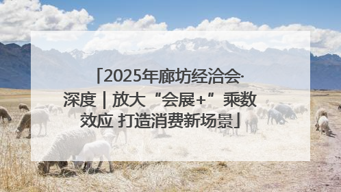 2025年廊坊经洽会·深度｜放大“会展+”乘数效应 打造消费新场景
