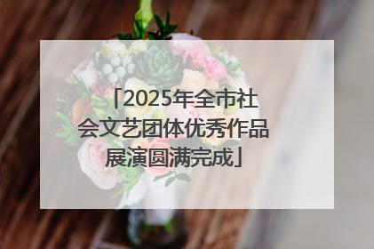 2025年全市社会文艺团体优秀作品展演圆满完成