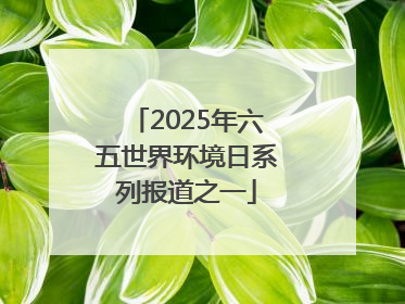 2025年六五世界环境日系列报道之一