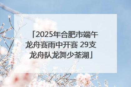 2025年合肥市端午龙舟赛雨中开赛 29支龙舟队龙舞少荃湖