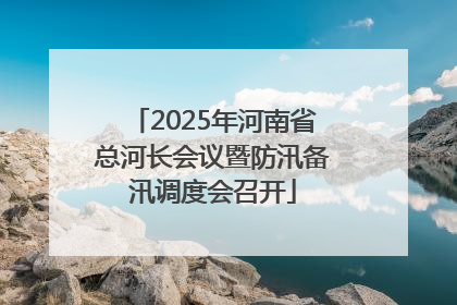 2025年河南省总河长会议暨防汛备汛调度会召开