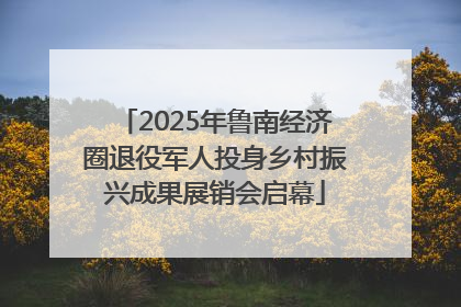 2025年鲁南经济圈退役军人投身乡村振兴成果展销会启幕