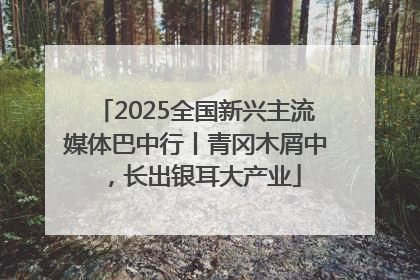 2025全国新兴主流媒体巴中行丨青冈木屑中，长出银耳大产业