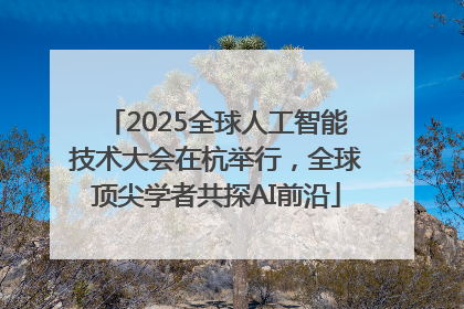 2025全球人工智能技术大会在杭举行，全球顶尖学者共探AI前沿