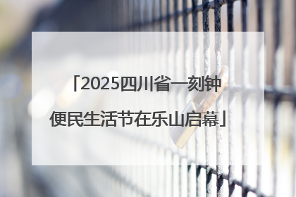 2025四川省一刻钟便民生活节在乐山启幕