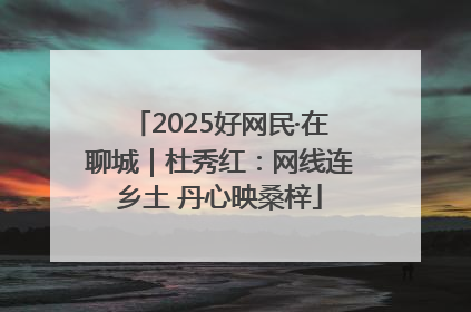 2025好网民·在聊城｜杜秀红：网线连乡土 丹心映桑梓