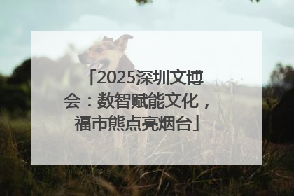 2025深圳文博会：数智赋能文化，福市熊点亮烟台