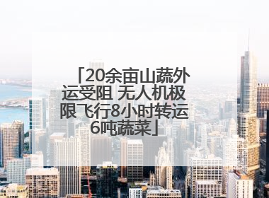 20余亩山蔬外运受阻 无人机极限飞行8小时转运6吨蔬菜