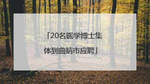 20名医学博士集体到曲靖市应聘